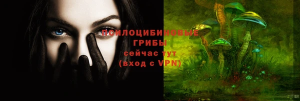 мяу мяу мука Армянск