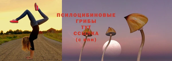 мяу мяу мука Армянск
