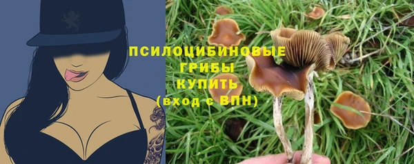 мяу мяу мука Армянск